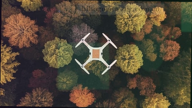 排球网前拦网瞬间与落点分布的集锦缩略图